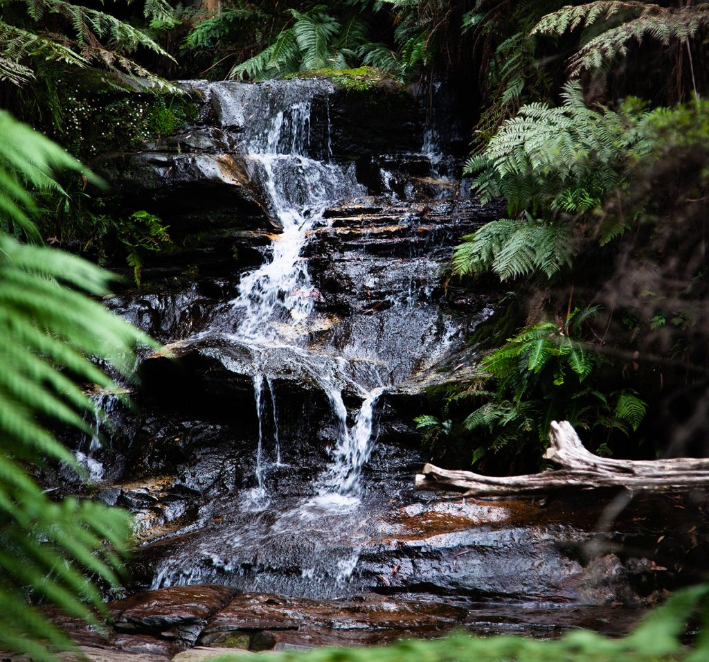Cascade Falls NSW, Blue Mountains 