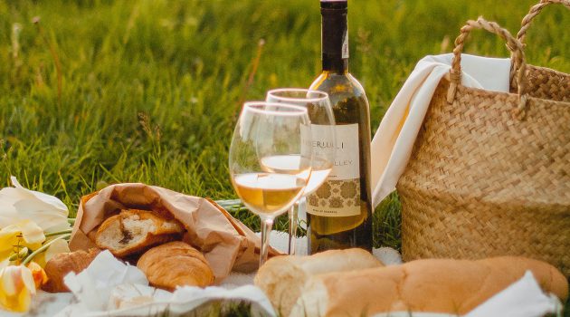 Picnic with cheese and wine