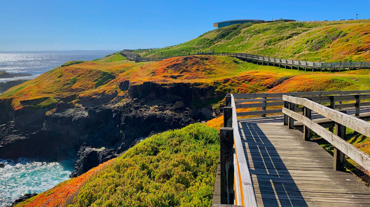 Phillip Island Australia