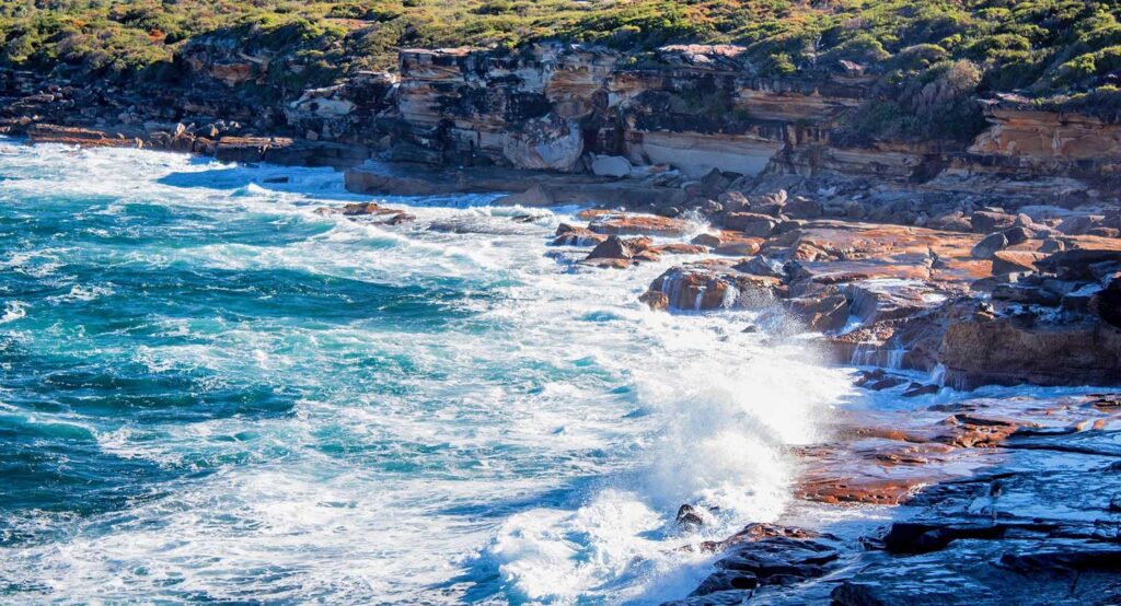 Royal National Park Sydney Car Hire