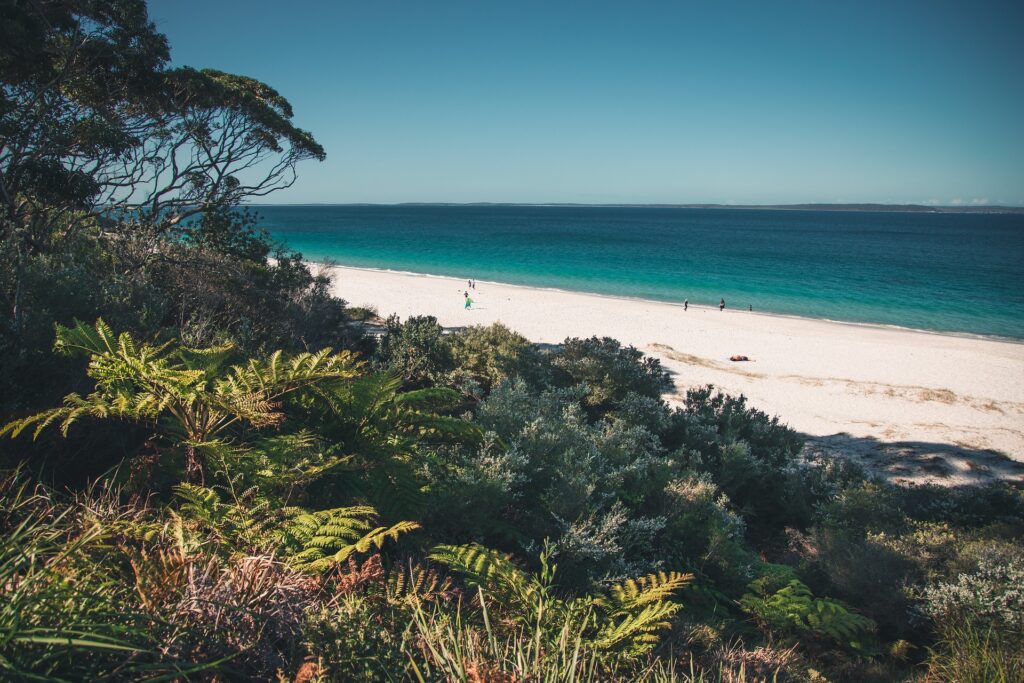 jervis bay car hire