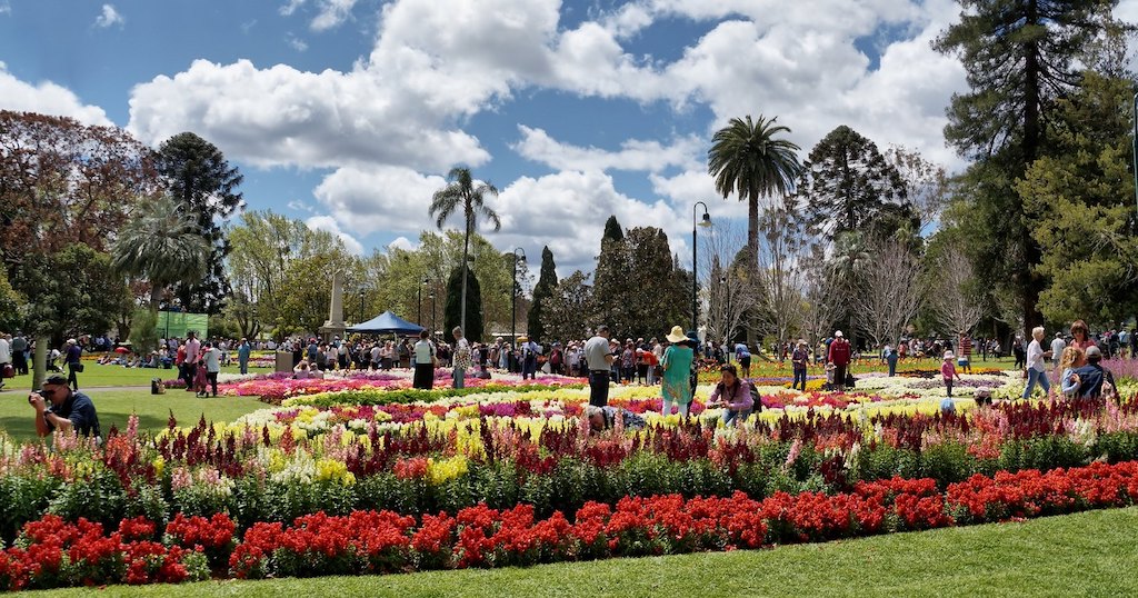 Toowoomba garden show