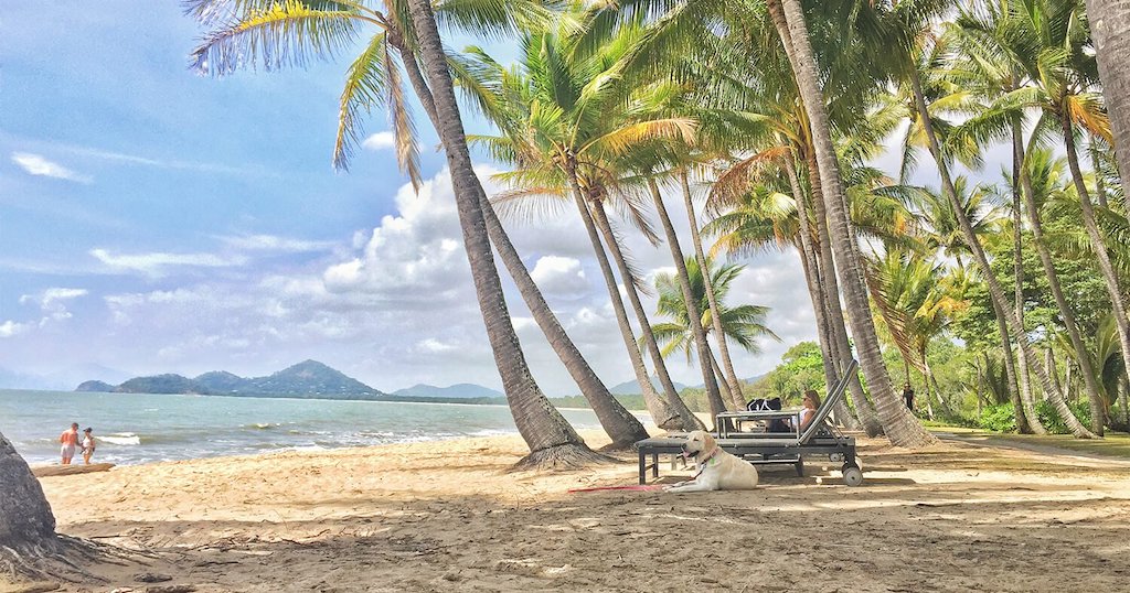Palm Cove near Cairns