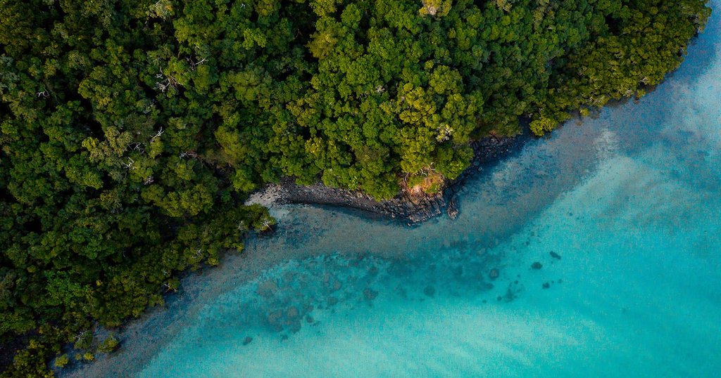 Cape Tribulation north of Cairns