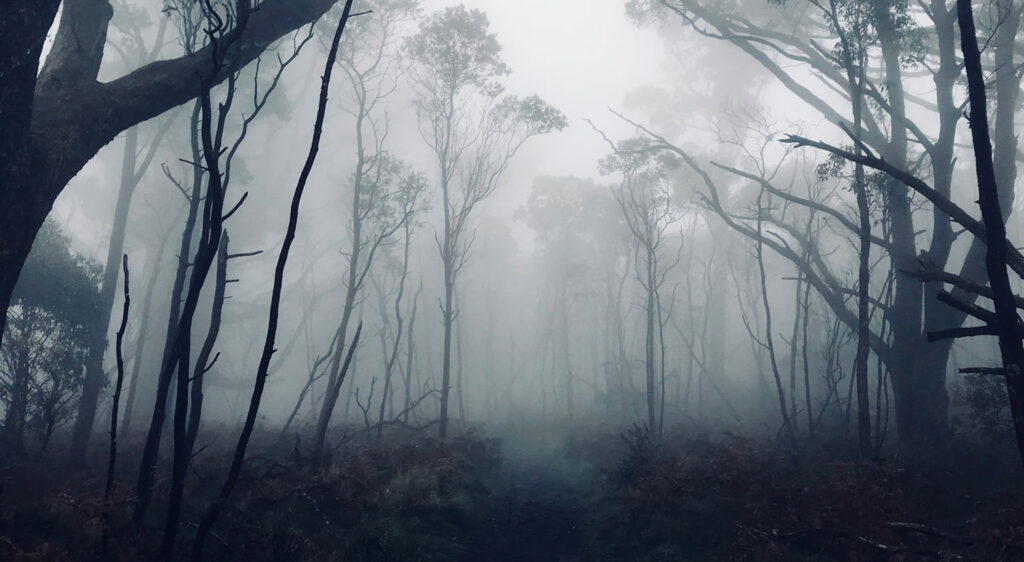 Cruise to the Macedon Ranges SIXT Car Rental Magazine