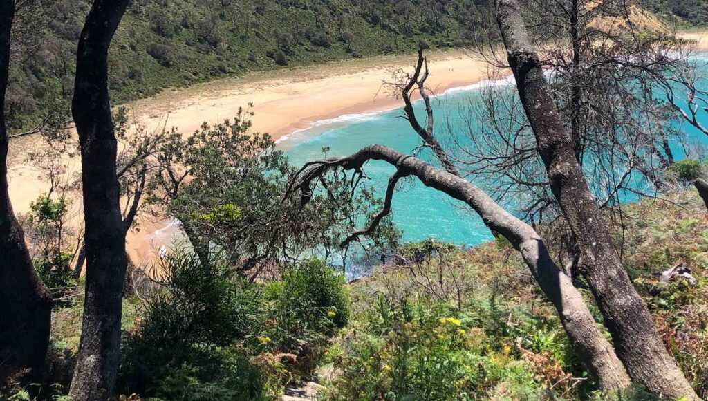 12 Scenic Day Trips From Sydney by Car SIXT Car Rental